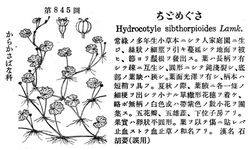 植物図鑑