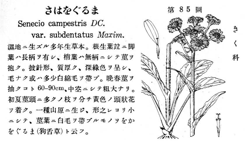 植物図鑑