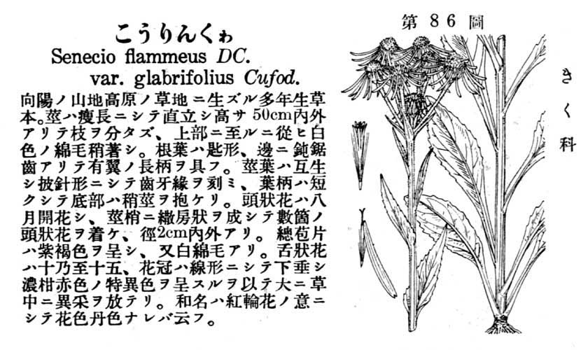 植物図鑑