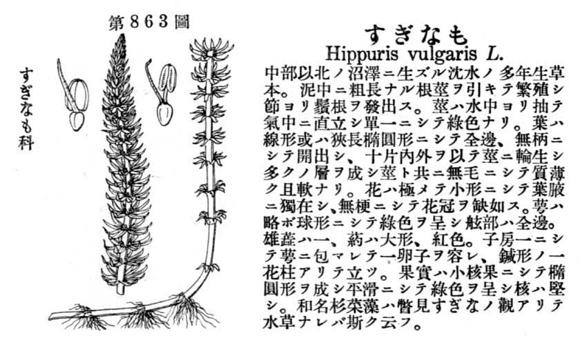 植物図鑑