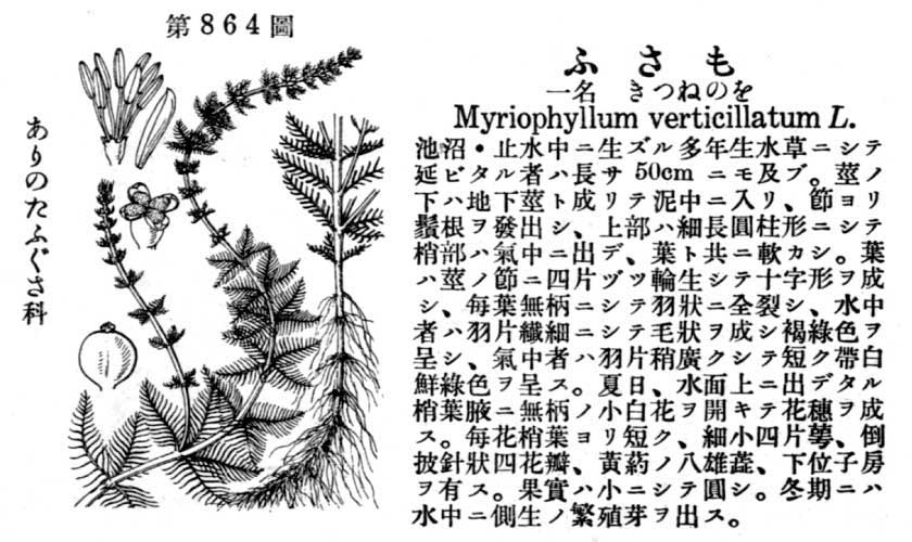 植物図鑑