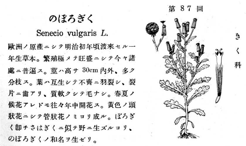 植物図鑑