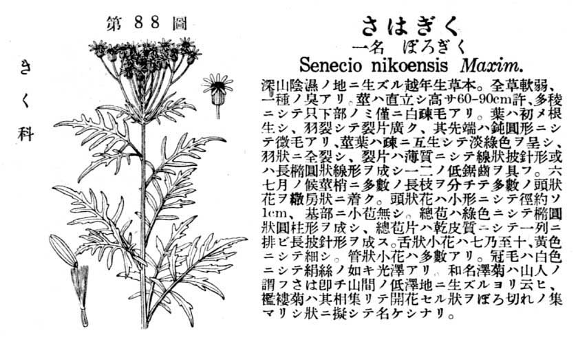 植物図鑑