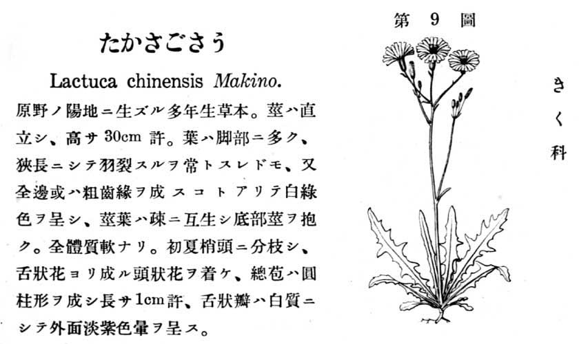 植物図鑑