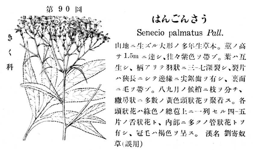 植物図鑑