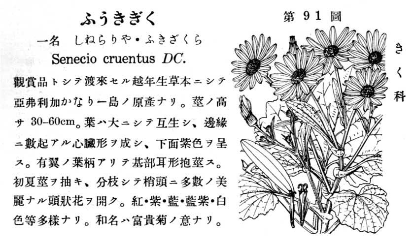 植物図鑑