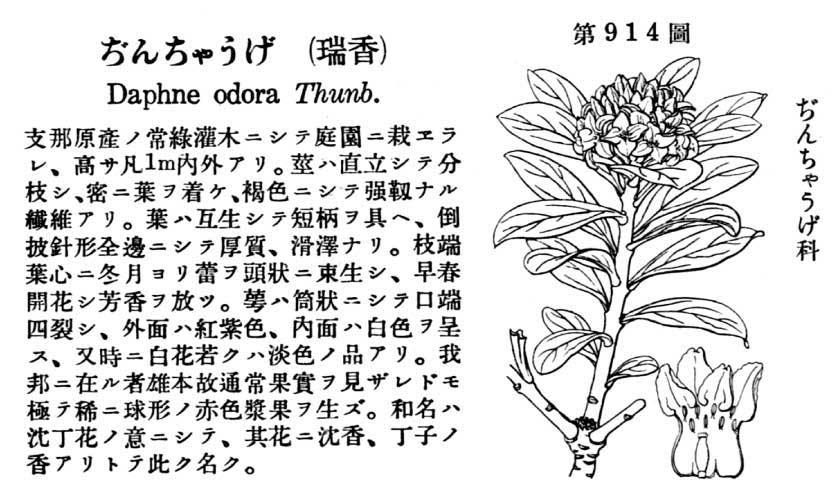 植物図鑑