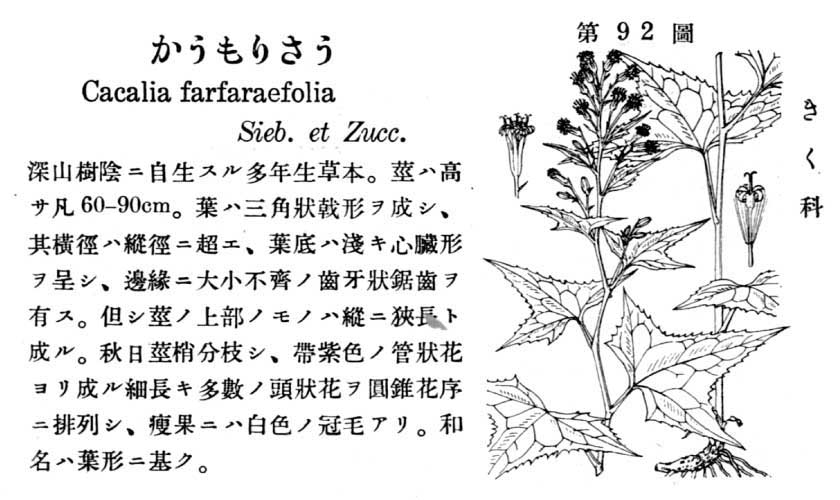 植物図鑑