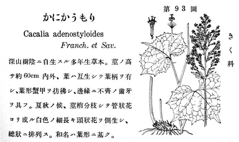 植物図鑑