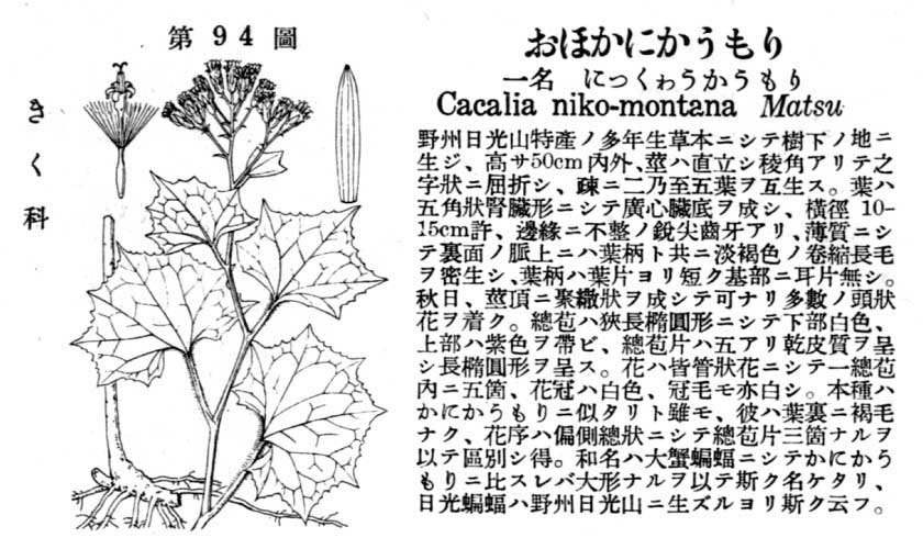 植物図鑑