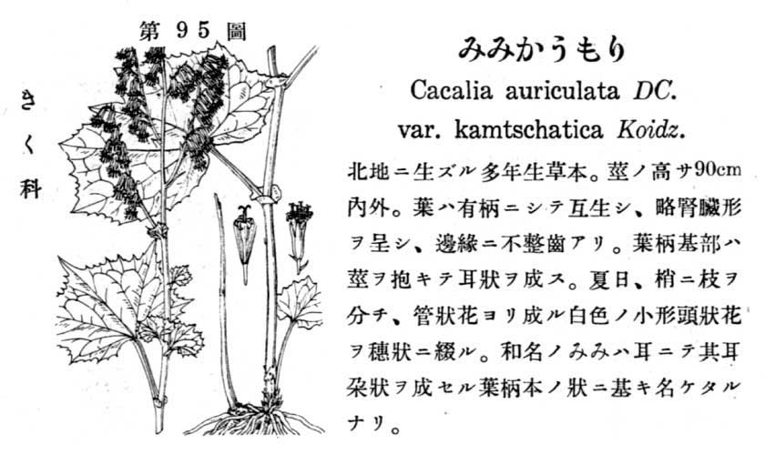 植物図鑑