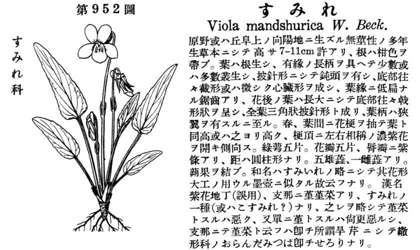 植物図鑑