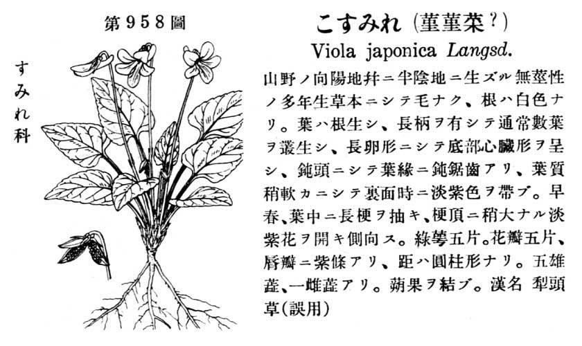 植物図鑑