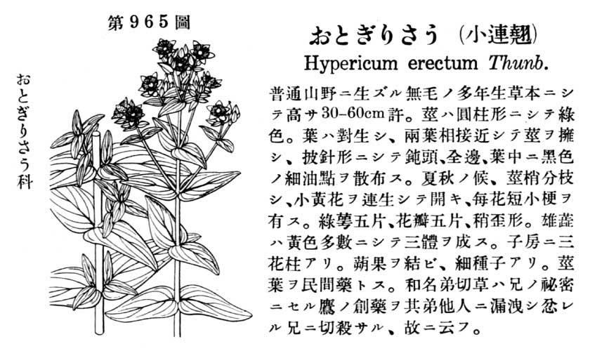 植物図鑑