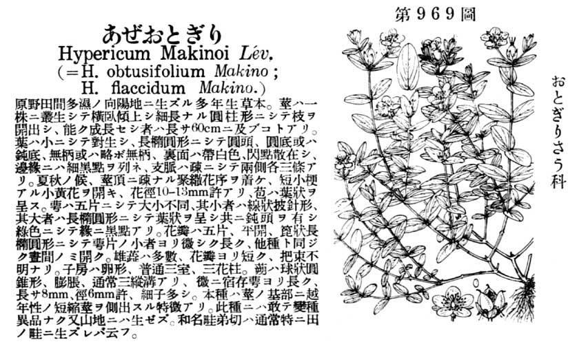 植物図鑑