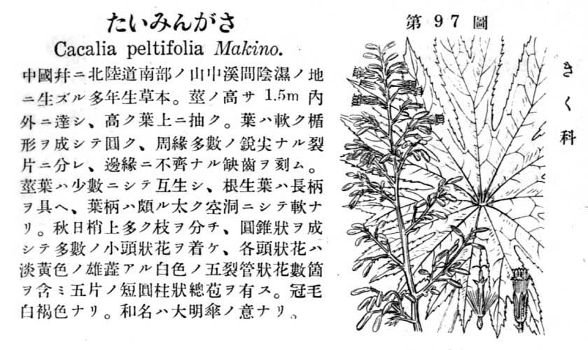 植物図鑑