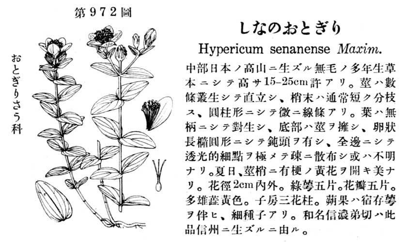 植物図鑑