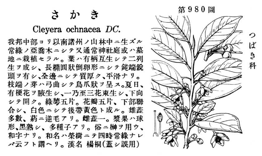 植物図鑑