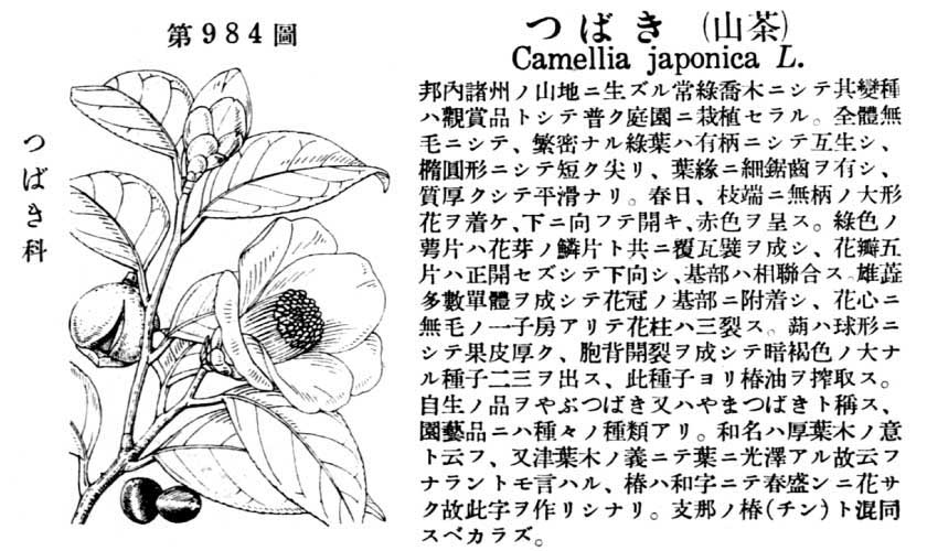 植物図鑑