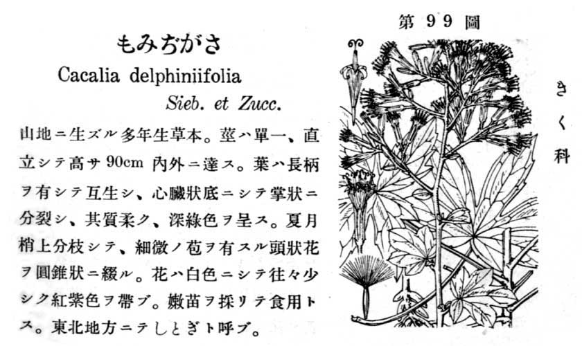 植物図鑑