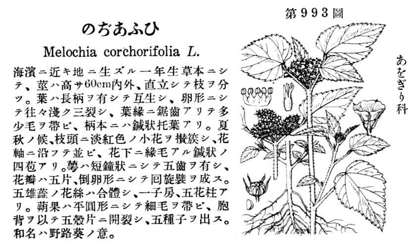 植物図鑑