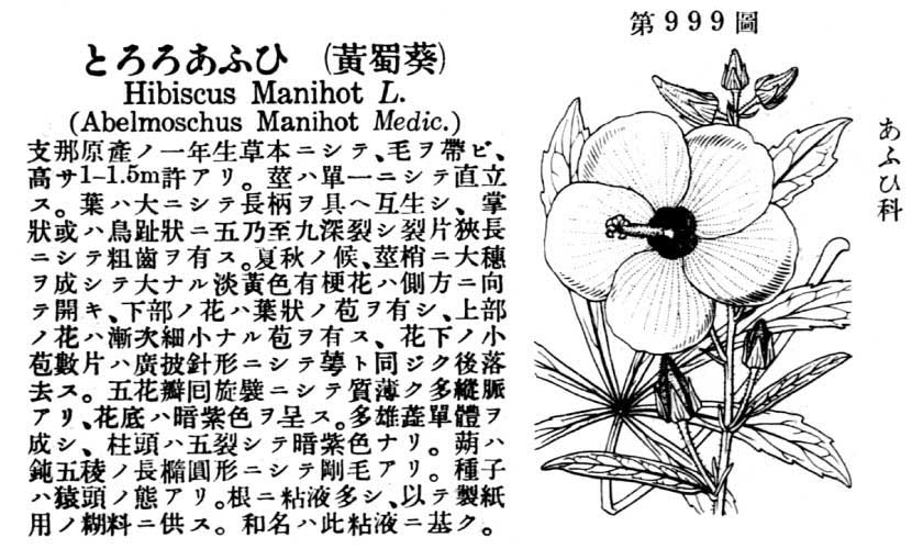 植物図鑑