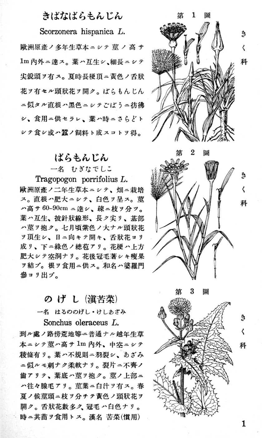 植物図鑑