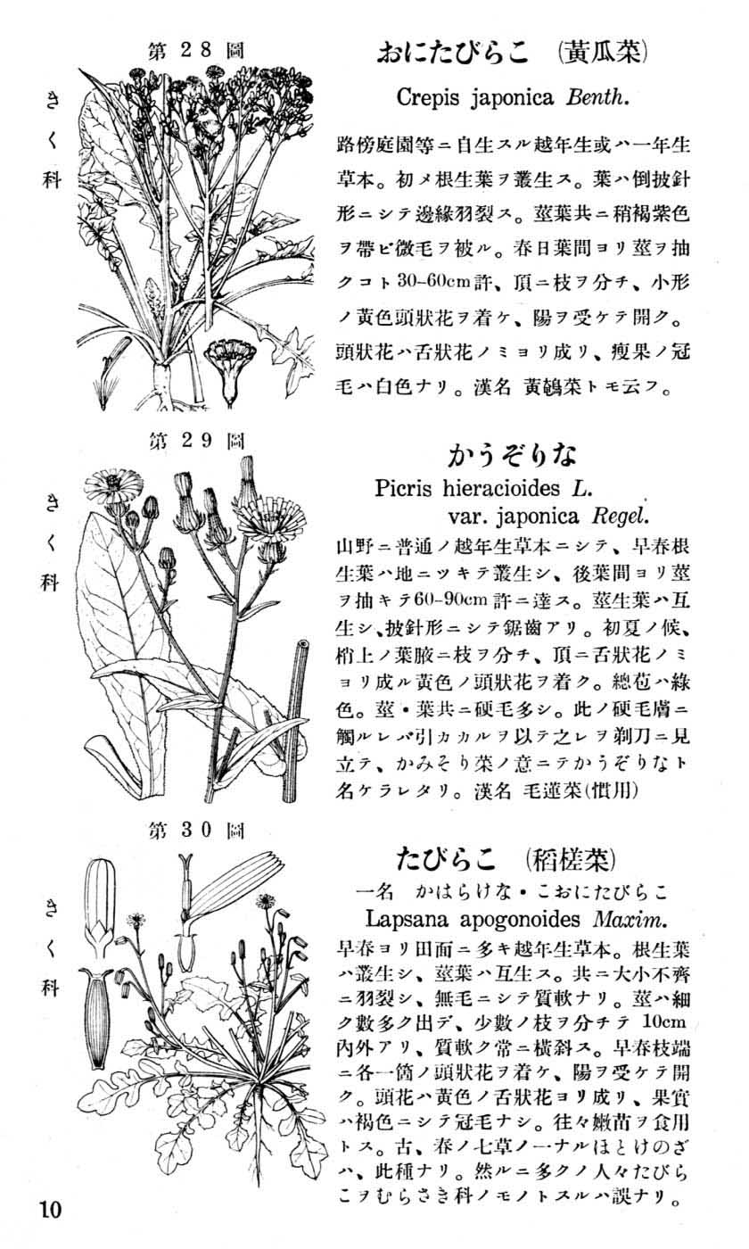 植物図鑑