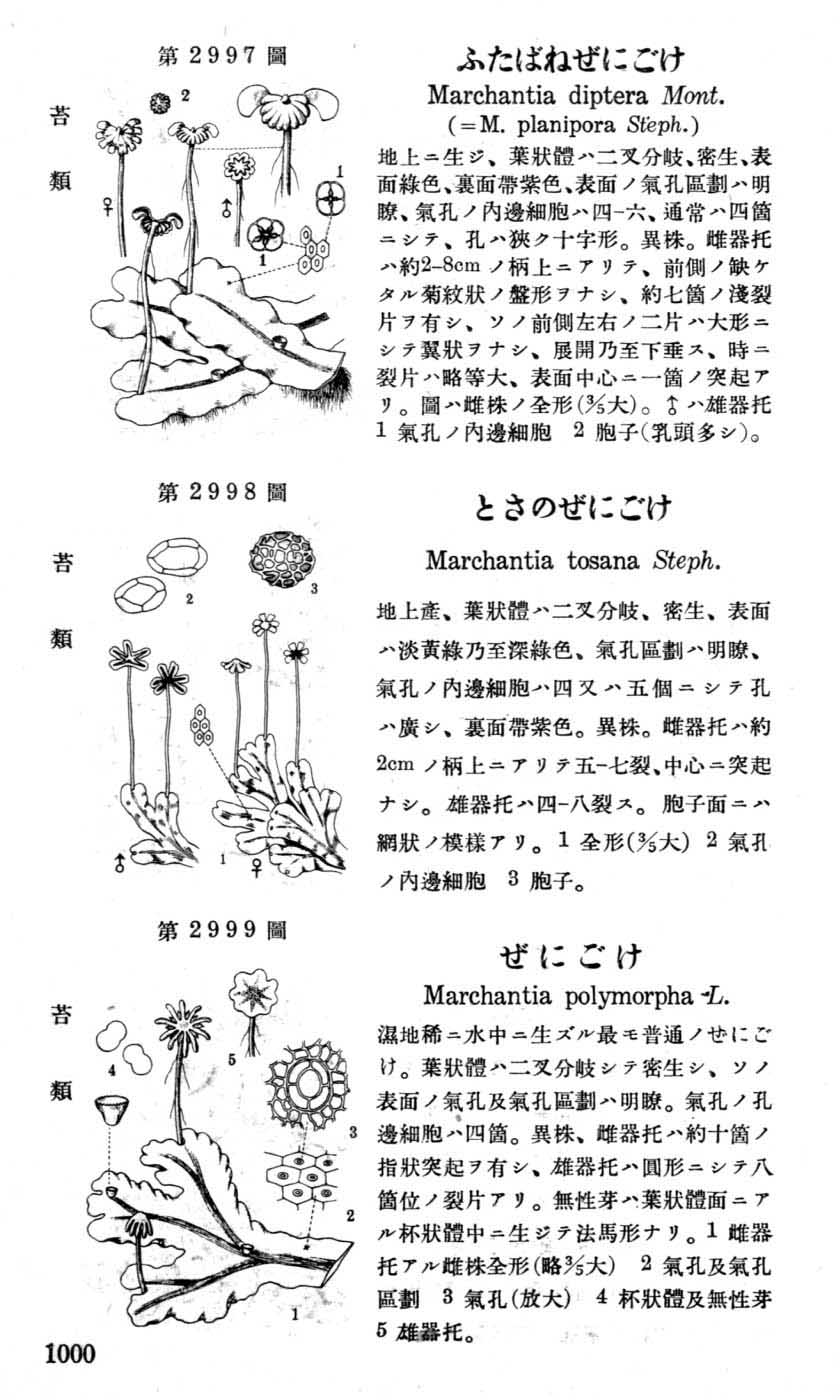 植物図鑑