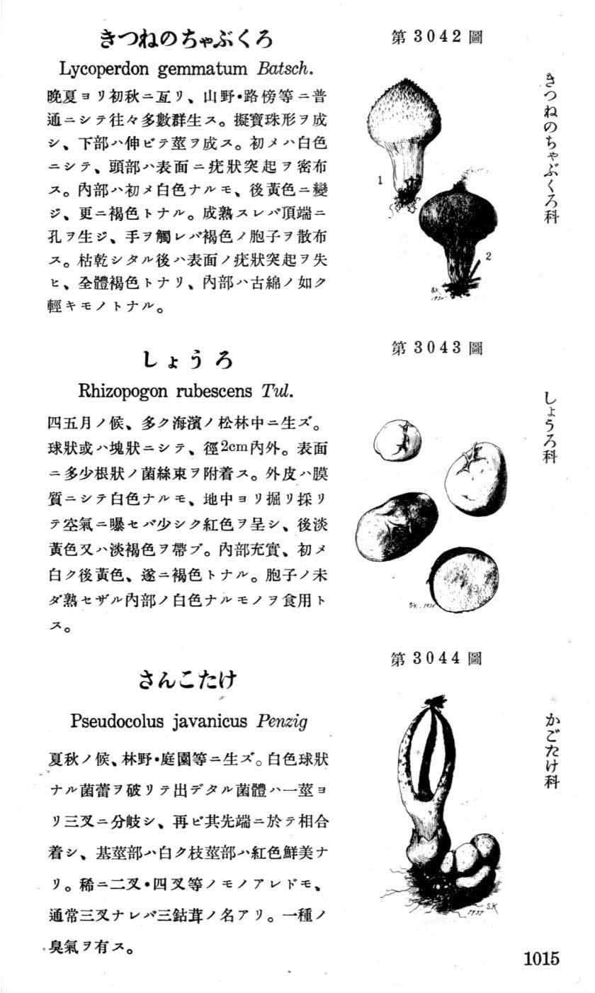 植物図鑑