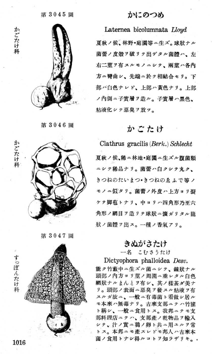 植物図鑑