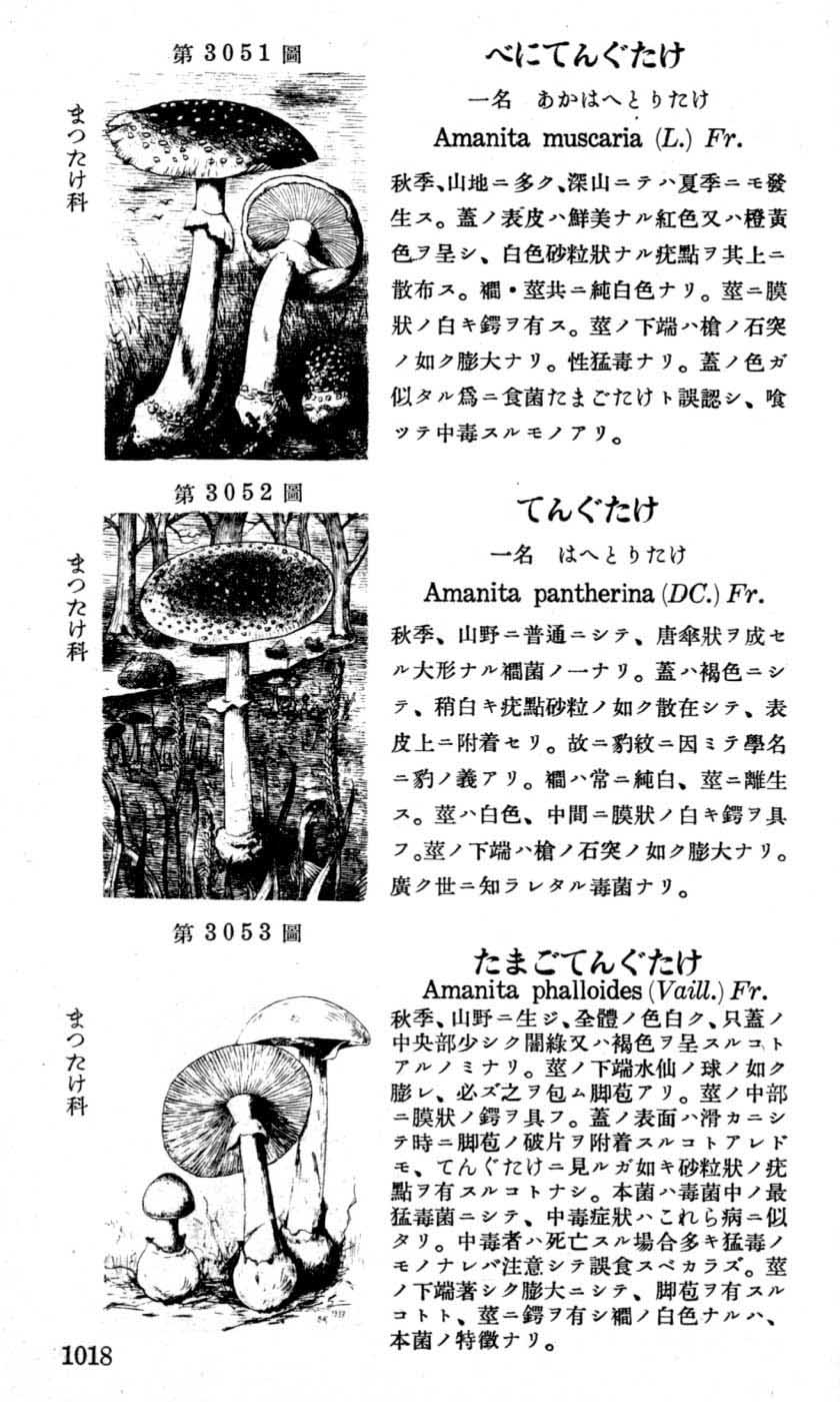 植物図鑑