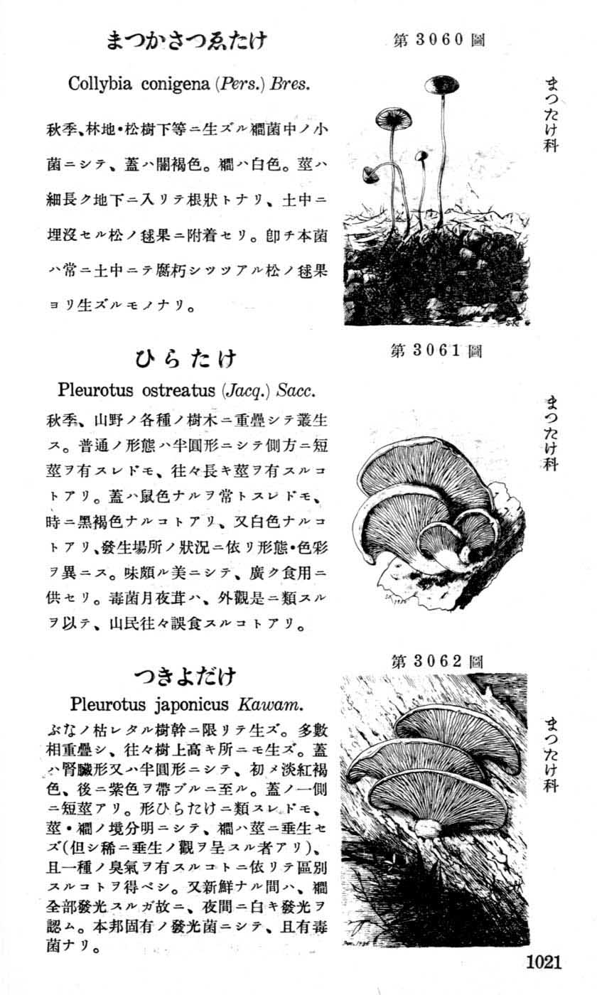 植物図鑑