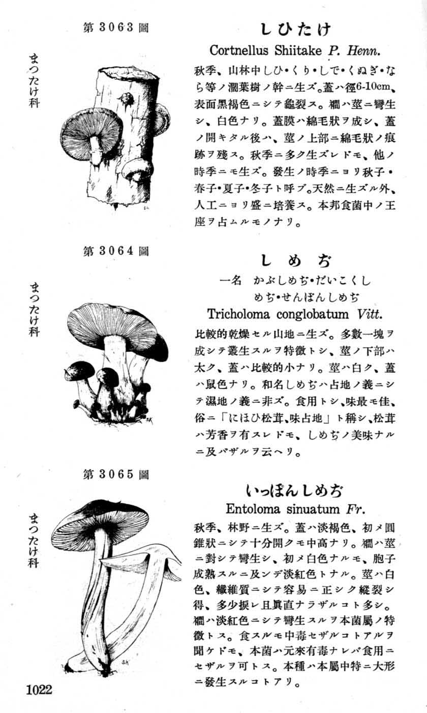 植物図鑑