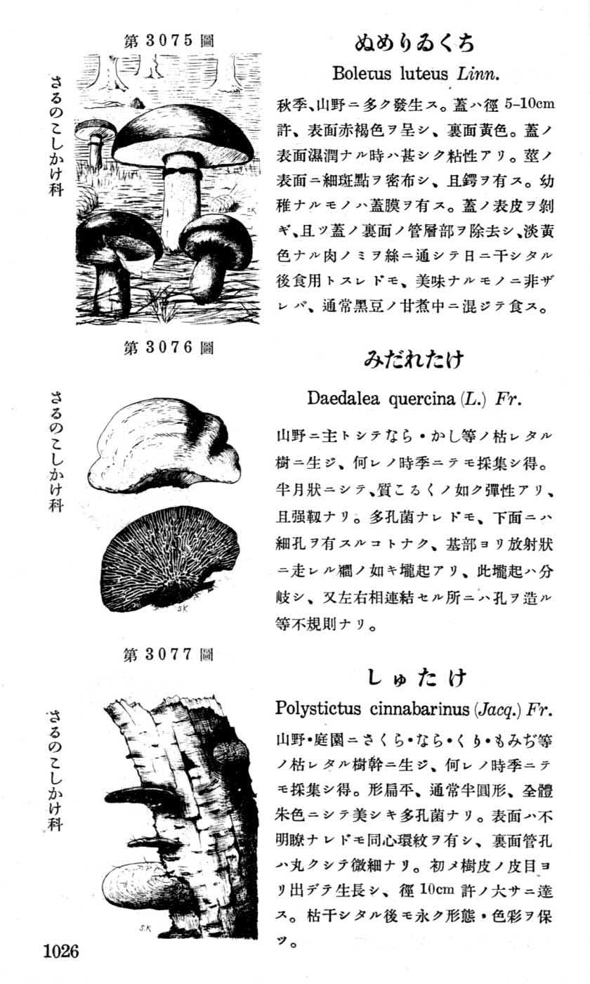 植物図鑑