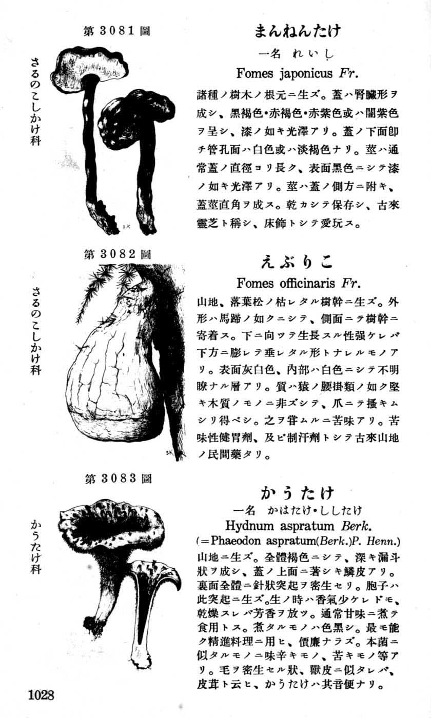 植物図鑑