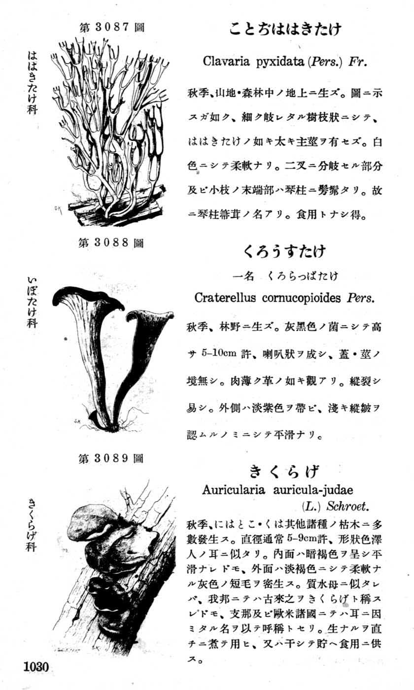 植物図鑑