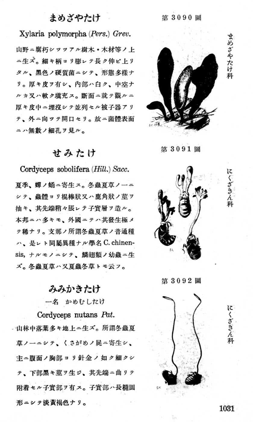 植物図鑑