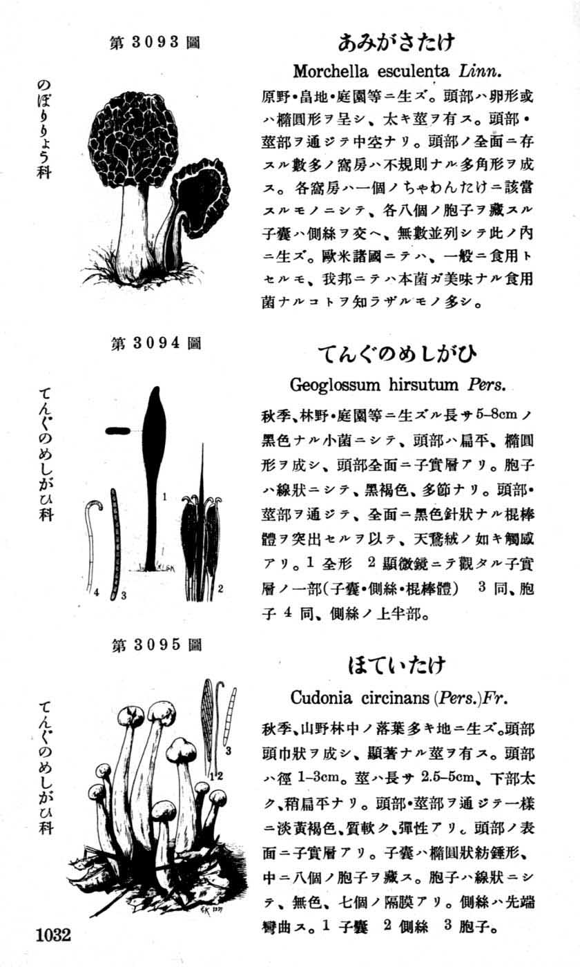 植物図鑑