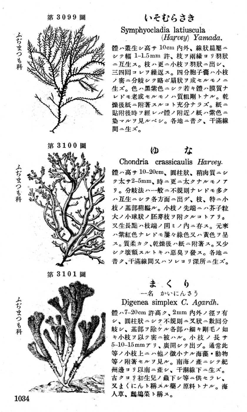 植物図鑑