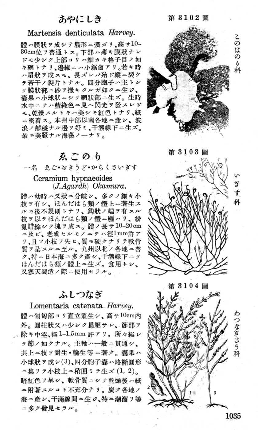 植物図鑑