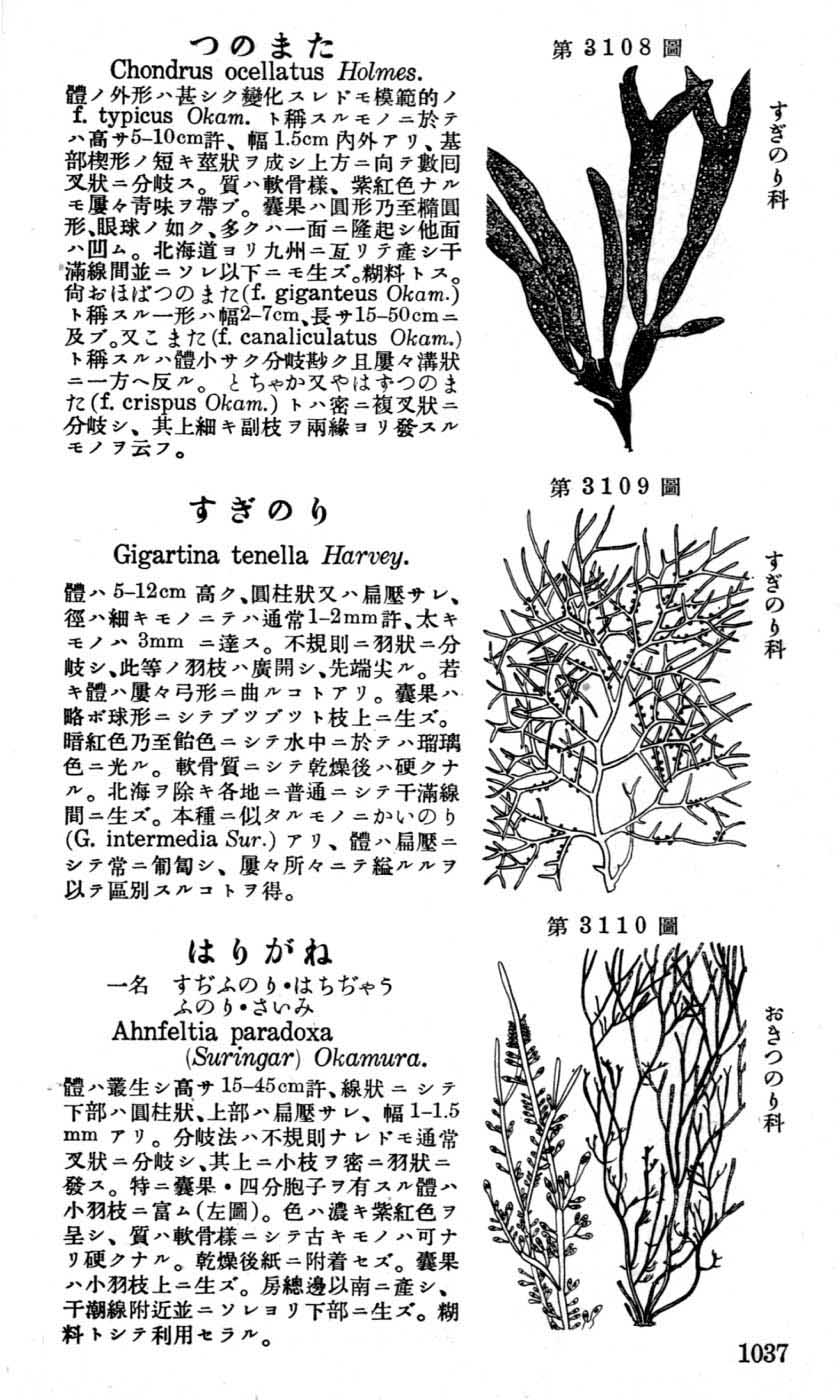 植物図鑑