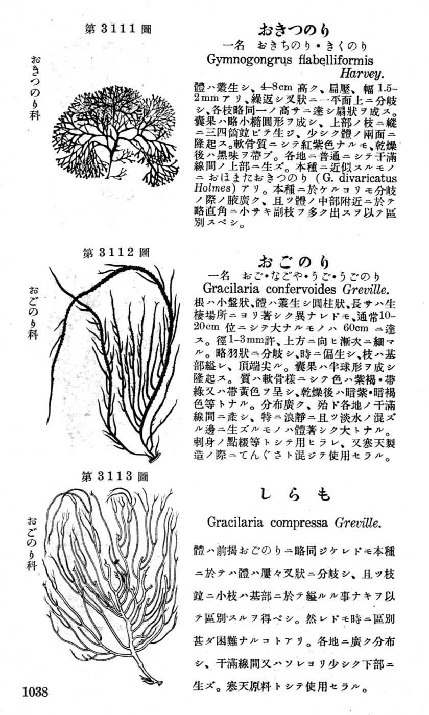 植物図鑑