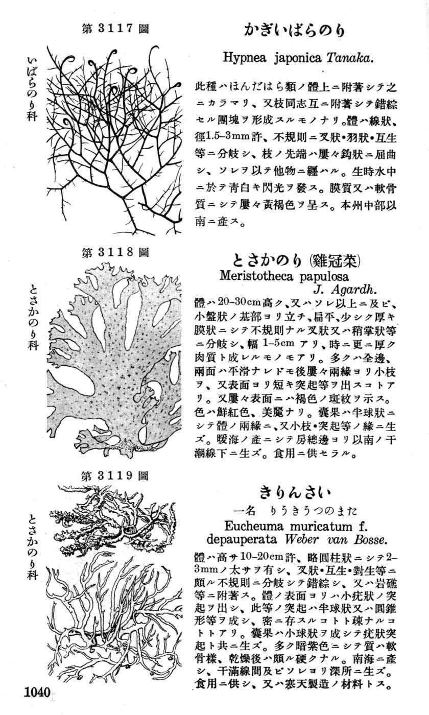 植物図鑑