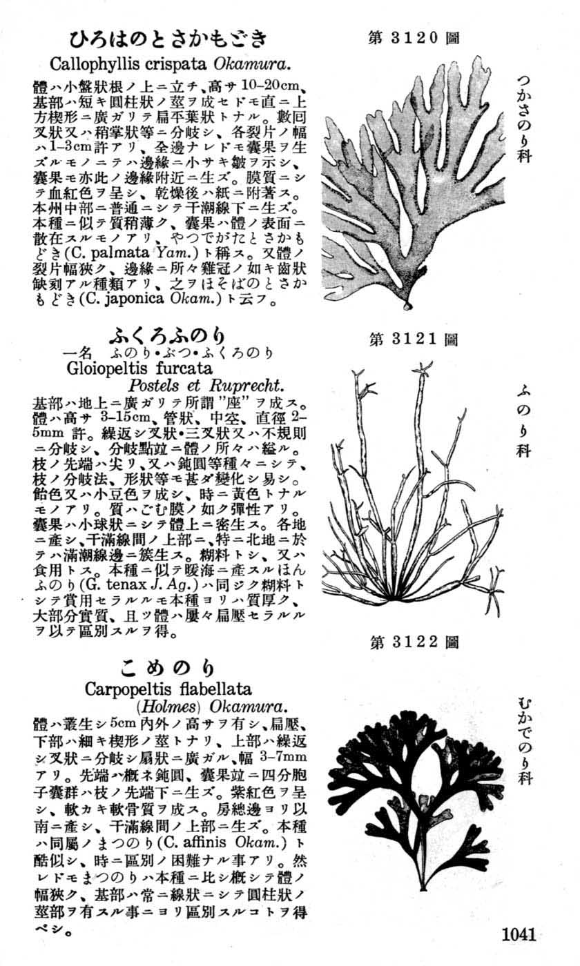 植物図鑑