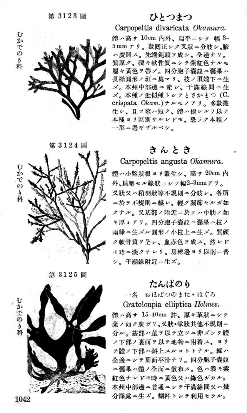 植物図鑑