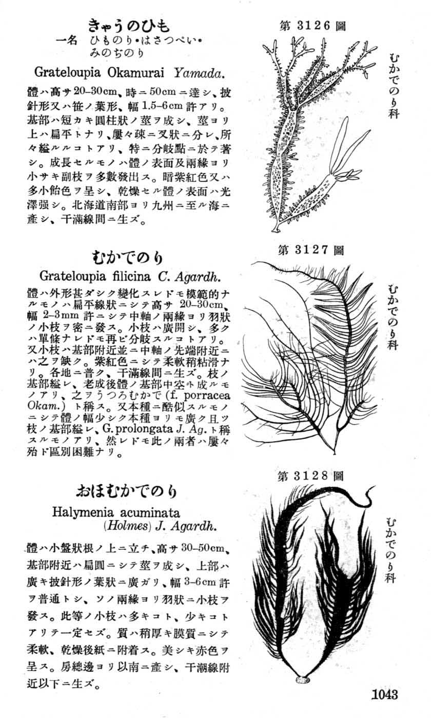 植物図鑑