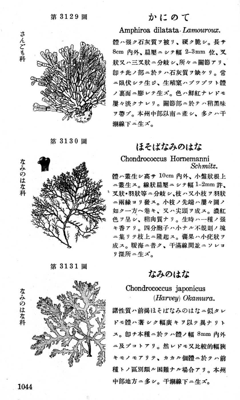 植物図鑑