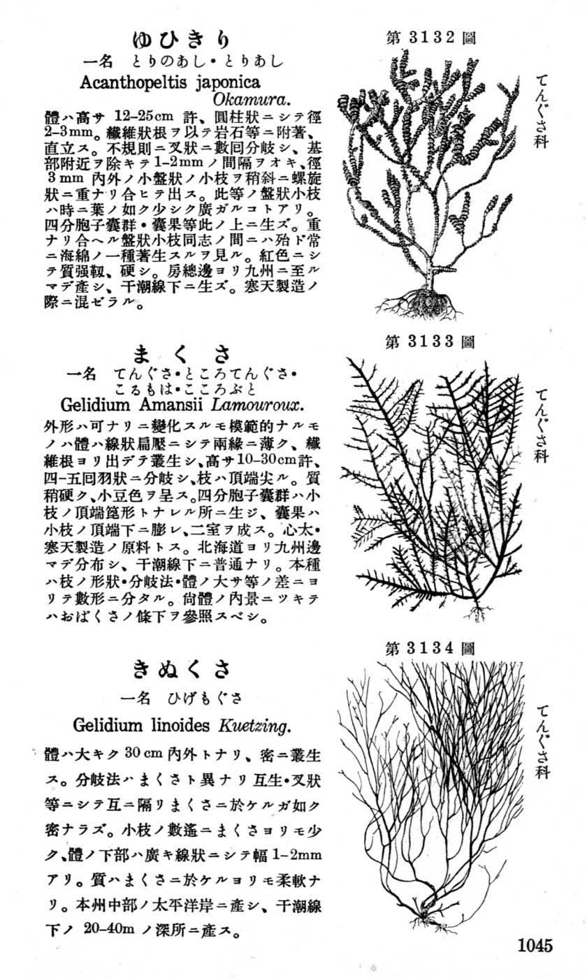 植物図鑑