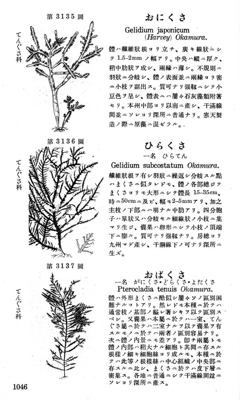 植物図鑑